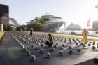 Ai Weiwei's 'Mushrooms' Installation in Sydney: A Reflection on Human Fragility